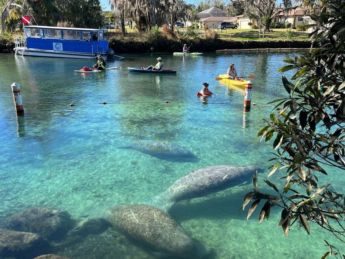 Waterfront home inspection in Weeki Wachee, Florida